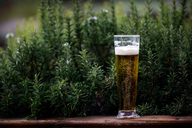 Motno pšenično pivo v visokem kozarcu